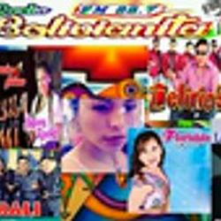 Radio La Bolivianita 88.7 Fm logo