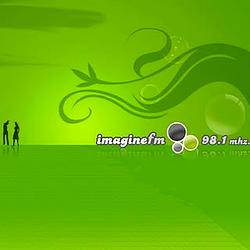 Fm Imagine 98.1 Mhz logo
