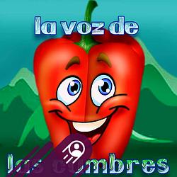 Radio San Jose de Cachi 101.3 logo