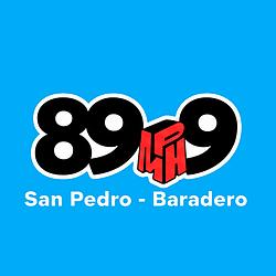 Radio Leime 89.9 FM logo
