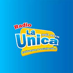 Radio La Única FM logo