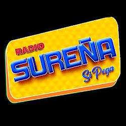 Radio Sureña Puno logo