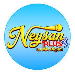 Radio Neysan Plus logo