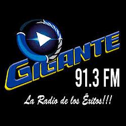 Radio Gigante 91.3 logo