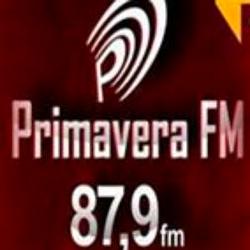 Rádio Primavera 87.9 FM logo