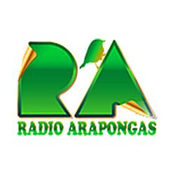 Rádio Arapongas logo