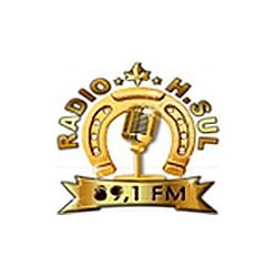 H. Sul FM logo