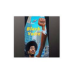 Radio Black Voice logo