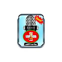 Rádio SAT FM logo