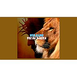 Web Rádio Voz da Várzea logo