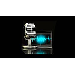 Rádio Brasil Sul FM logo