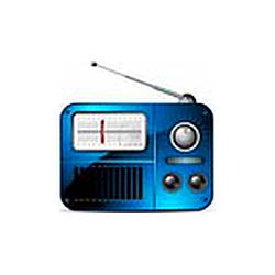Rádio Brasil News FM logo
