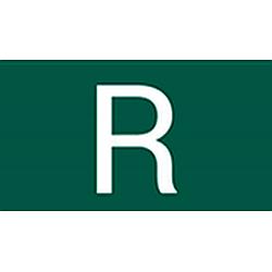 Rádio Luiz News FM logo
