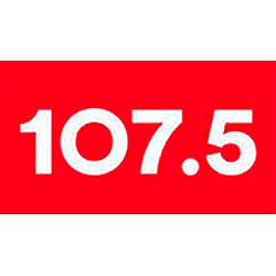 Rádio pau-brasil FM logo