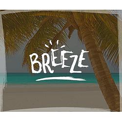 Vagalume.FM - Breeze logo