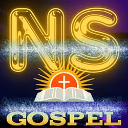 Radio Ns.WEB logo