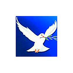 Nova Esperança FM logo