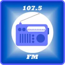 Rádio Atividade Sul FM logo