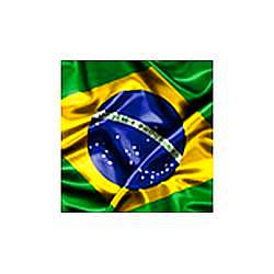 Rádio Auriverde News FM logo