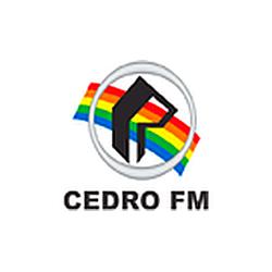 Rádio Cedro FM logo