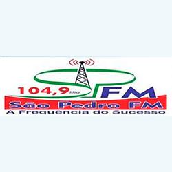 Rádio São Pedro 104.9 FM logo