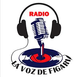 Radio La Voz de Figari logo