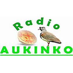 Radio Mapuche Aukinko logo
