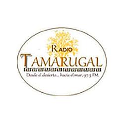 Radio Tamarugal logo