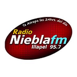 Radio Niebla FM logo