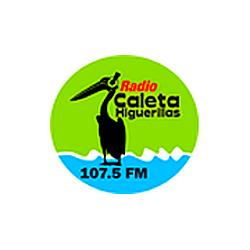 Radio Caleta Higuerillas logo