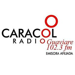 Caracol Radio Guaviare 102.3 FM logo