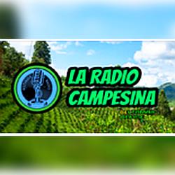 TU CAMPESINA RADIO ‐ Beltamar Online logo