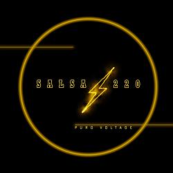 SALSA A 220 radio logo