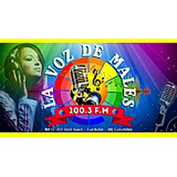 La Voz De Males radio logo