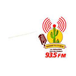 Iguaraya Stereo 93.5 FM logo