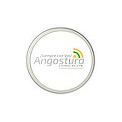 Angostura estéreo 89.2 FM 2024-2027 logo