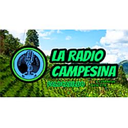 Beltamar Radio - Bogota logo