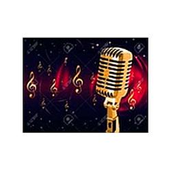 Palocabildo Stéreo radio logo