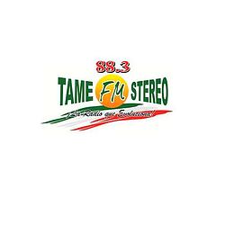 Tame FM Stereo 88.3 logo
