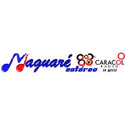 Maguaré Estéreo radio logo