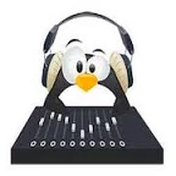 Pinguino Stereo radio logo