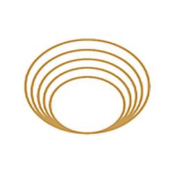 Radio Integral logo