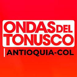 Ondas del Tonusco radio logo