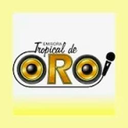 Emisora Tropical de Oro radio logo