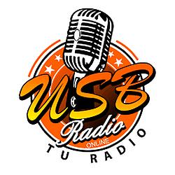 USB Radio logo