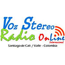 Radio Voz Stereo Internacional logo