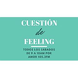 FEELING RADIO logo