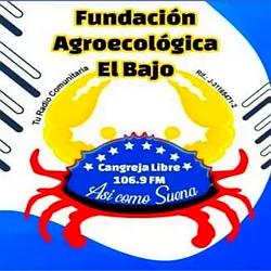 Cangreja Libre 106.9 radio logo