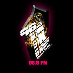 Mision Radio 96.5 FM logo