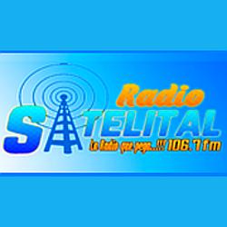 Radio Satelital logo